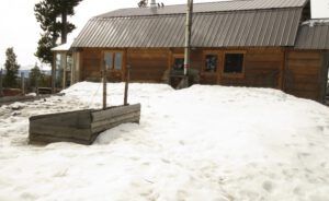 15 garden (Fourteen Days)