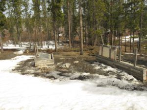 ashes on garden (Fourteen Days)