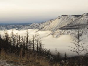 7 to town. (Fourteen Days)