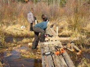bridge 5 logs (The Second Pandemic Volunteers)