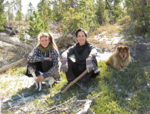 12 P amd M (The Second Pandemic Volunteers)