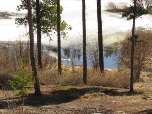 13 first open water (Freedom Day)