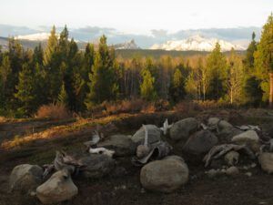 16 snow gone. (Freedom Day)