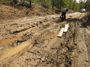 14 tackling boghole (The Second Pandemic Volunteers)