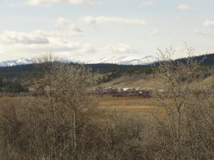 16a tatla (Freedom Day)