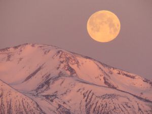 18 moonset 2 best (The Second Pandemic Volunteers)
