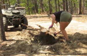 24 root (The Second Pandemic Volunteers)