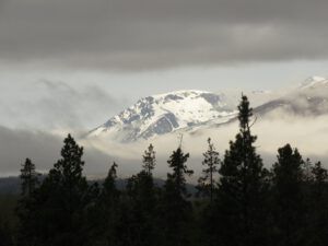 28 cold and dreary (The Second Pandemic Volunteers)