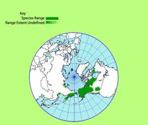 Ane.richar.mapW (The Plateau June 27)