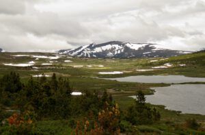 a1 plateau (The Plateau June 27)