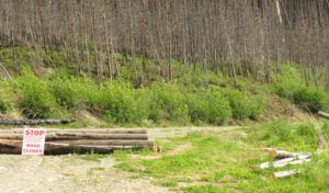 a4 road closed (Perkins Peak June 25)