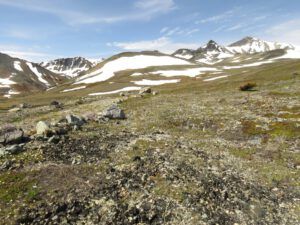 a7 alpine (Perkins Peak June 25)