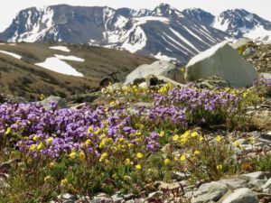 b2 unresistable (Perkins Peak June 25)