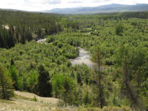 13 sth bluff best. (2020 Summer Solstice)