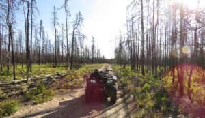 16 KK falls 1 (Kleena Kleene Falls)