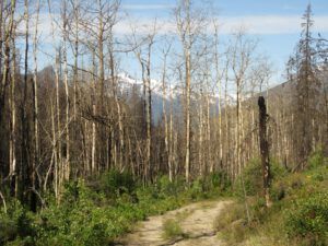 17a more views. (Kleena Kleene Falls)