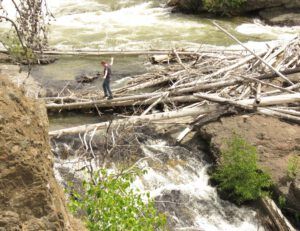 13 crossing log (Kleena Kleene Waterfall Again)