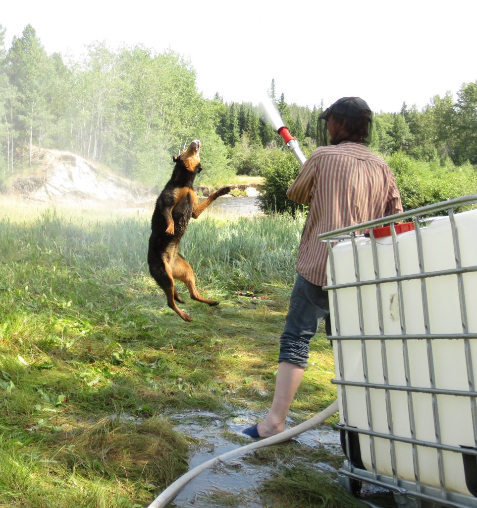 sooner loving water