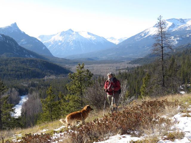 lookout near waterfall February