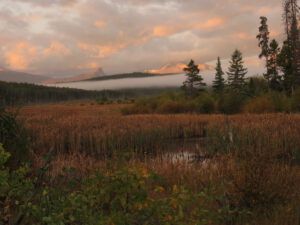 11 slough (The End Of Summer)