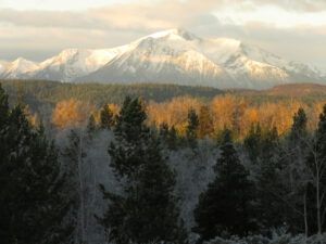 11 middle mt (Fire-smarting ginty creek)