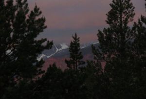 11. morning light (Moods of Ginty Creek.)