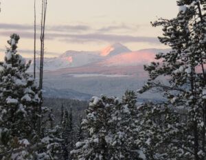 16 PP sunrise (Fire-smarting ginty creek)