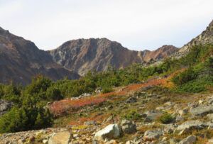 15 to mine (The End Of Summer)