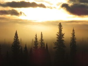 18 mist (The End Of Summer)