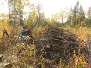 22 building brush piles (Fire-smarting ginty creek)