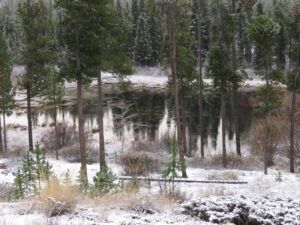 2 a little snow (Fire-smarting ginty creek)
