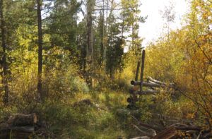 21 touch of fall (Fire-smarting ginty creek)