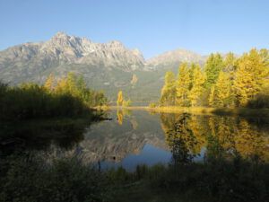 31 pond (The End Of Summer)