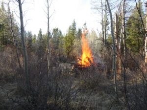 32 burning alone (Fire-smarting ginty creek)