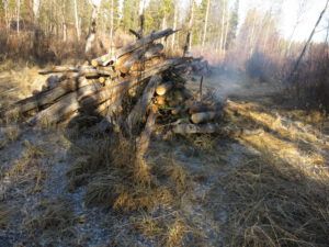 33 piles sitting in frozen water (Fire-smarting ginty creek)