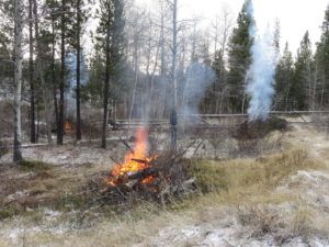 36 three easy piles (Fire-smarting ginty creek)