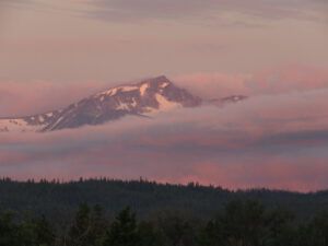 IMG_1182 (Moods of Ginty Creek.)