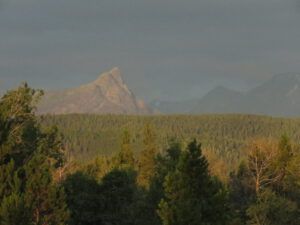 IMG_1313 (Moods of Ginty Creek.)