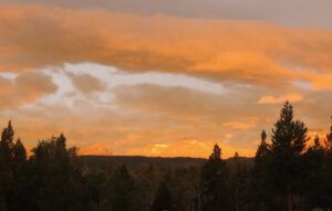 IMG_1416 (Moods of Ginty Creek.)