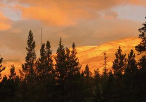 IMG_1419 (Moods of Ginty Creek.)