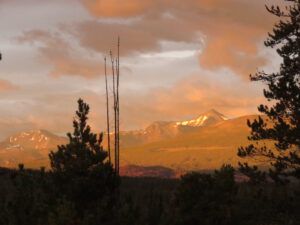 IMG_1420 (Moods of Ginty Creek.)