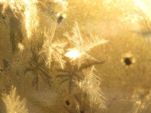 wondow frost (Fire-smarting ginty creek)