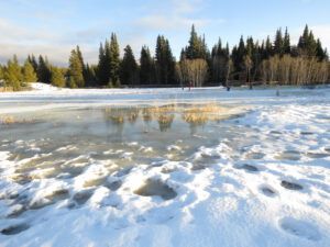 frozen field (Covid Winter Solstice)
