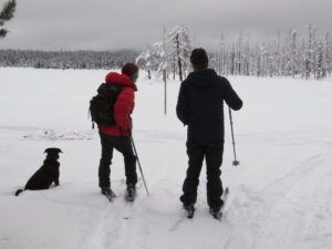 ski trails 1 (Covid Winter Solstice)