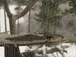 frosty net (Covid Winter Solstice)