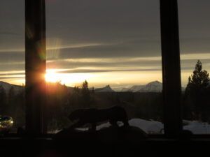 almost shortest day (Covid Winter Solstice)