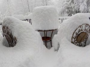 katie’s chair (Covid Winter Solstice)