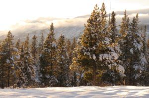 21 evening 2 (A Month Into The New year)