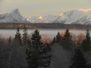 26 this morning. (A Month Into The New year)