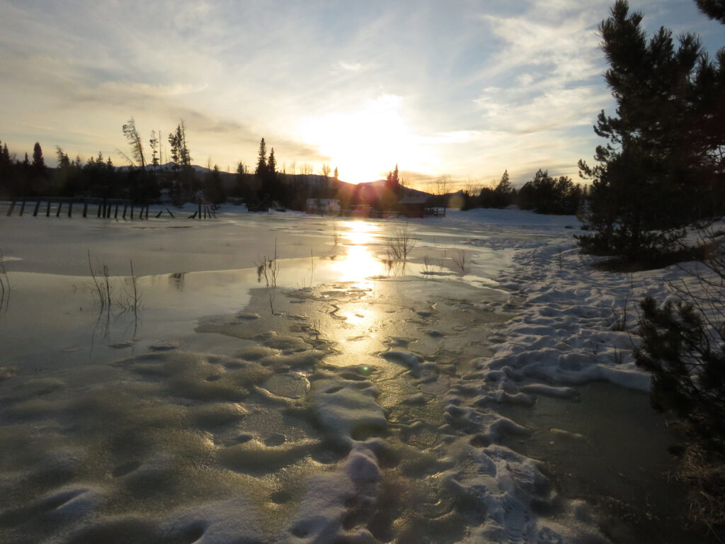 flooded field